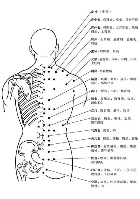 背後穴位圖|接露5大背部穴道按摩方式及位置， 只要10分鐘輕鬆消除腰酸背痛。